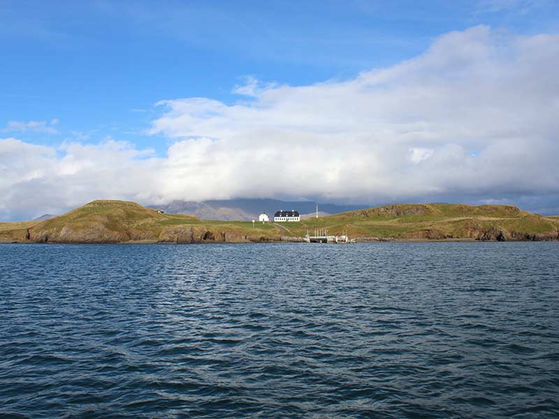View over Videy island
