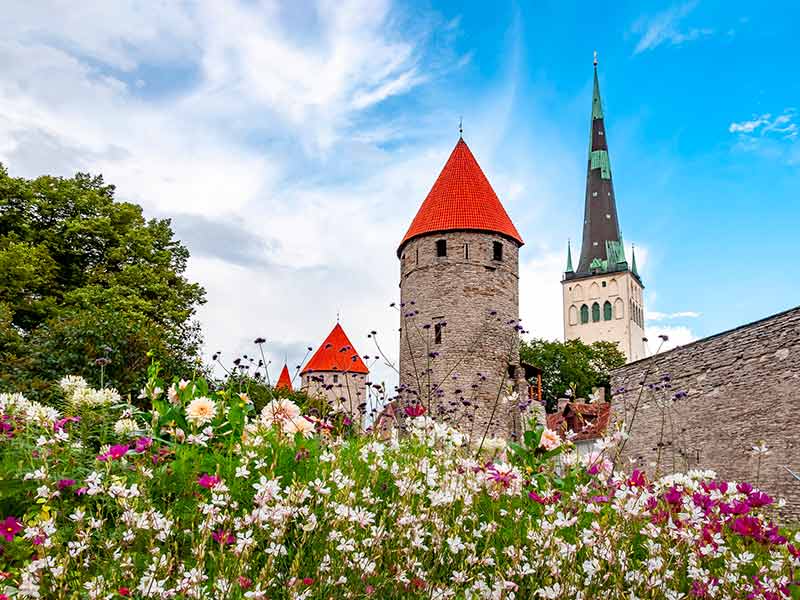 St. Olaf’s Church tower and Walls of old Tallinn, Estonia
